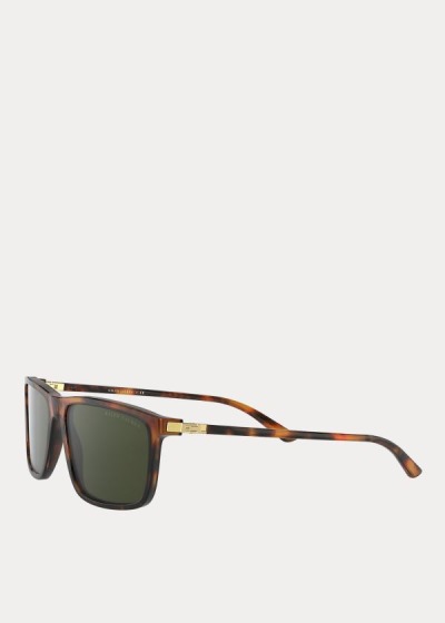 Men's Ralph Lauren RL Hinge Sunglasses | 012367ODG